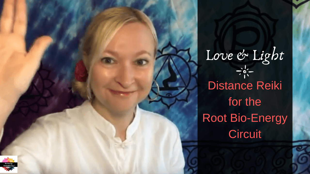 VIDEO: Bio Energy Healing Reiki | Immune/Skeletal & Adrenals - Dorian Lynn - Healing with Spirit