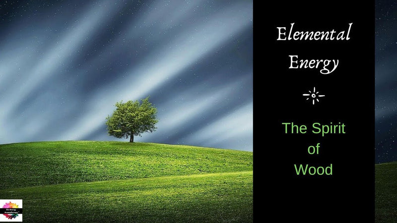 VIDEO: Elemental Energy | Part 1: The Spirit of Wood - Dorian Lynn - Healing with Spirit